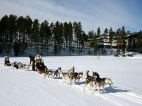 Family winter holiday in Finland, Wild Taiga