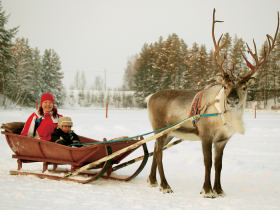 Family winter holiday in Finland, Wild Taiga