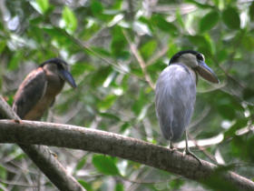 El Salvador holiday, El Imposible National Park