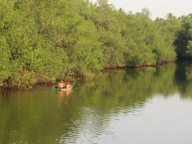 El Salvador holiday, El Imposible National Park