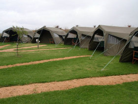 Wildlife conservation volunteering in South Africa 