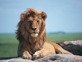 Family safari holiday in Tanzania, Rift Valley