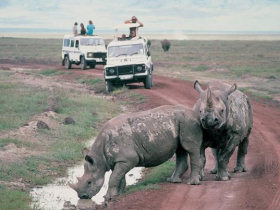 Family safari holiday in Tanzania, Rift Valley