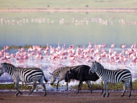 Family safari holiday in Tanzania, Rift Valley