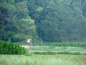Borneo family holiday, tailor made