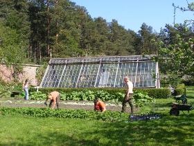 Volunteering holiday in Scotland, nature & wildlife