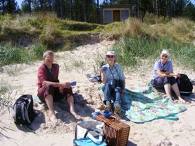 Volunteering holiday in Scotland, nature & wildlife