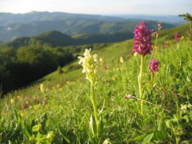 Bulgaria walking tour in the National Parks