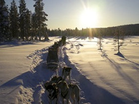 Northern Lights photography holiday, Finland 