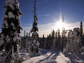 Northern Lights photography holiday, Finland 