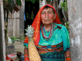 Indigenous cultural tour of Panama