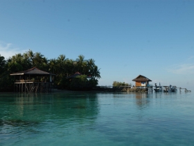 Wildlife and adventure holiday in Indonesia