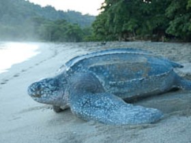 Trinidad & Tobago tours, tailor made