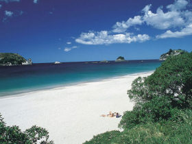 New Zealand self drive budget holiday