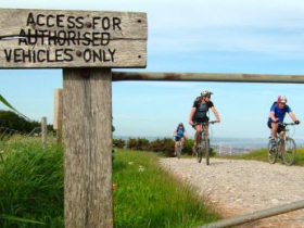 South Downs Way mountain bike holiday, England 