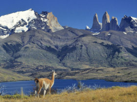Highlights of Patagonia holiday