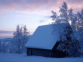 Learn how to mush huskies in Lapland