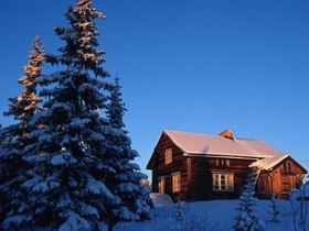 Learn how to mush huskies in Lapland