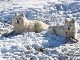 Czech Republic winter activity week