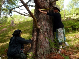 Scotland wellbeing & nature holiday