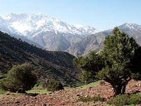Berber cultural holiday, Morocco