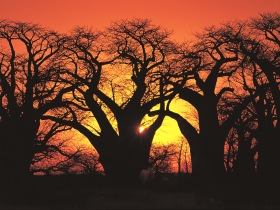 Tanzania  luxury safari
