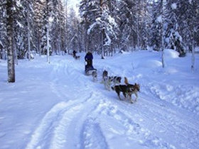Northern Lights holiday in Lapland, aurora alarm