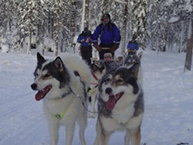 Northern lights holiday in Lapland, tailor made