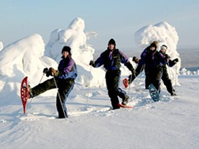 Northern lights holiday in Lapland, tailor made