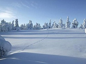 Northern lights family holiday, tailor made