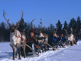 Igloo family holiday in Lapland