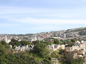Santiago and coastal tour of Chile