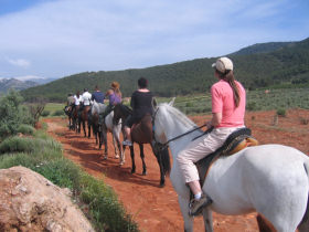 Spanish course in Granada