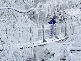 Snowshoeing holiday in Finland