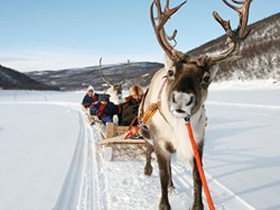 Lapand activity and cultural holiday in Finland