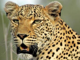 Okavango Delta camping holiday, Botswana