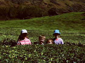 Sri Lanka family tour
