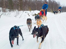 Winter activity holiday in Norway