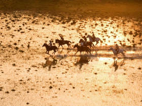 Botswana horse trekking safari