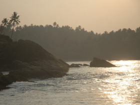 Sri Lanka wildlife and cultural holiday