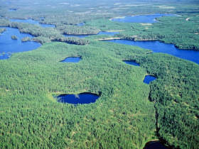 Finland summer activity holiday, Wild Taiga