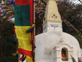 Teach in Buddhist monasteries, Nepal