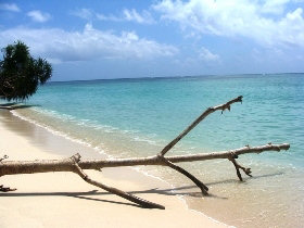 Lankayan Island beach