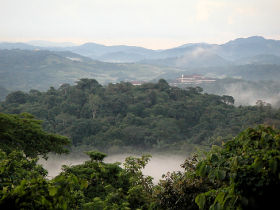 Panama bird watching holiday