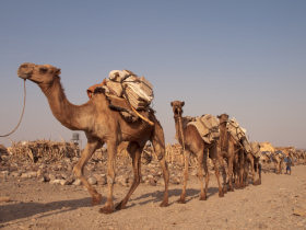 Ethiopia and Djibouti holiday, Danakil Depression  
