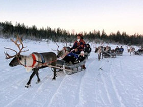 Northern Lights holiday in Lapland, aurora alarm