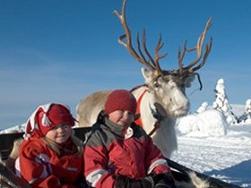 Northern lights family holiday, tailor made