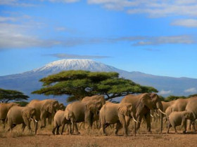 Luxury Kenya tour