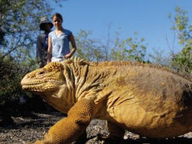 Galapagos photography holiday