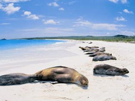 Galapagos photography holiday